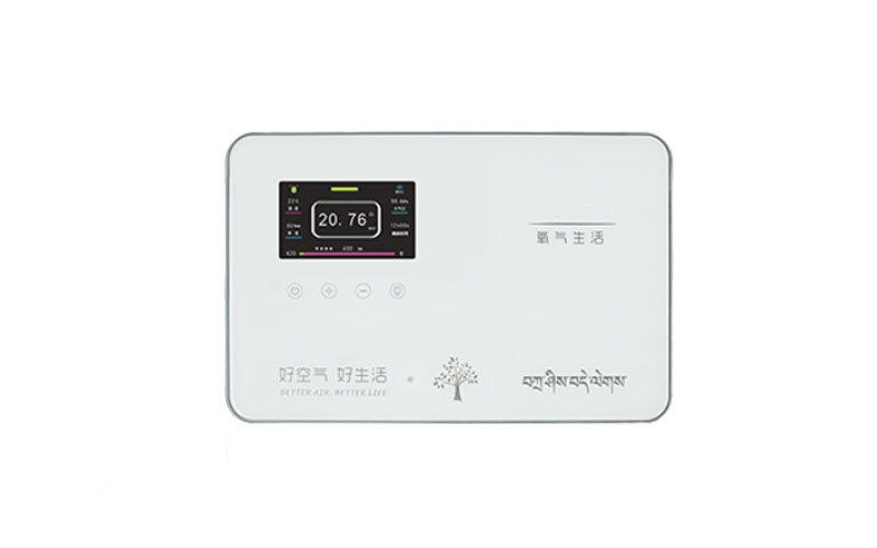 巫溪弥散供氧系统终端